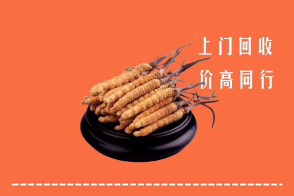 高价求购：衡山回收散虫草