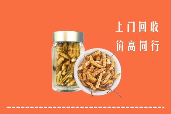 收购行情：衡山回收冬虫夏草